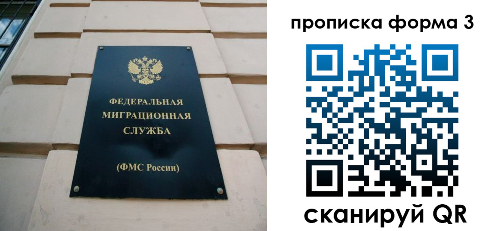 прописка поиск в Нижнем Новгороде